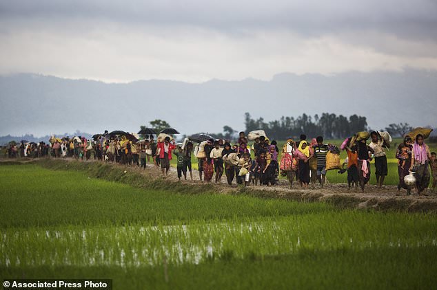 گروه‌های حقوق بشری: میانمار به روند بازگرداندن زمین‌های تصرف شده سرعت بخشد