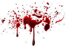 رای پرونده باند قتل های سریالی گلستان بزودی صادر می شود