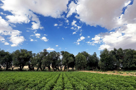 روستای خویگان علیا