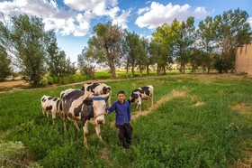 روستای خویگان علیا