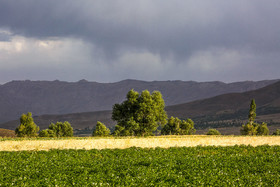 روستای خویگان علیا