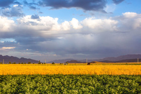 روستای خویگان علیا