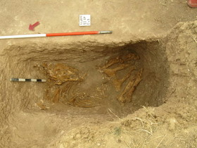 کشف سومین تدفین اسب در یک منطقه باستان‌شناسی