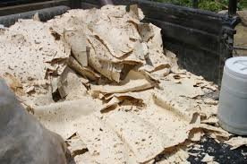 ماجرای نان‌هایی که باعث "سرطان" می‌شوند