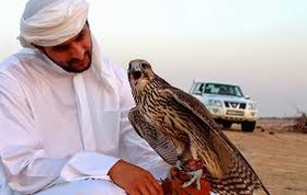 قاچاق پرنده‌های شکاری چناران به کشورهای عرب نشین