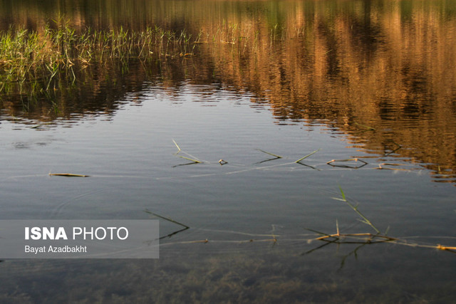 "آبگیری مقطعی" معضلات تالاب هورالعظیم را بیشتر کرد 