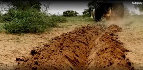 چرا آفریقا "دیوار بزرگ سبز" می‌سازد؟