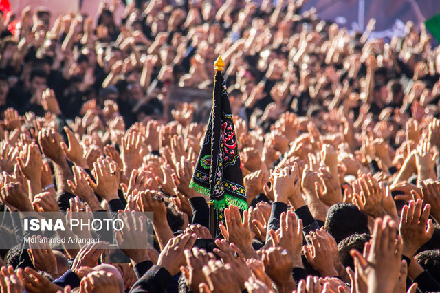 هفتاد و دو سینه سرخ هجرت کردند