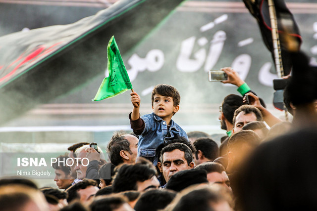 هفتاد و دو سینه سرخ هجرت کردند