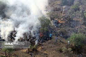 آتش سوزی در جنگلهای "کَل غور" بویراحمد