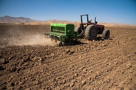 کاهش بارندگی موجب عقب‌ماندگی سطح سبز مزارع دیم خراسان شمالی شد