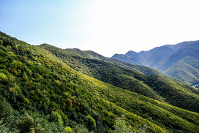 ایران زیباست؛ منطقه کوهستانی " کرینگان " 
بخش وسیعی از جنگل های ارسباران(قره داغ)در شهرستان ورزقان واقع شده است.