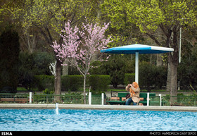 افتتاح بوستان دامپزشکی در منطقه 11 ظرف هفته آینده