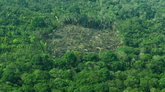 جنگل‌زدایی در برزیل
