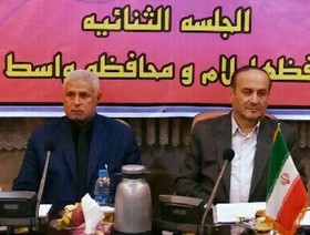 همکاری ایران و عراق در مراسم پیاده‌روی اربعین در بالاترین سطح است