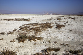 درياچه بختگان شیراز