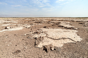 تالاب ''صالحیه'' در روستای صالحیه نظرآباد استان البرز