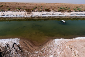 تالاب ''صالحیه'' در روستای صالحیه نظرآباد استان البرز