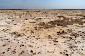 تالاب ''صالحیه'' در روستای صالحیه نظرآباد استان البرز