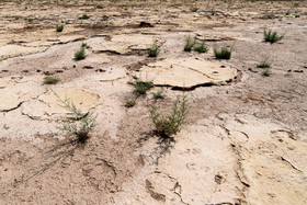 تالاب ''صالحیه'' در روستای صالحیه نظرآباد استان البرز