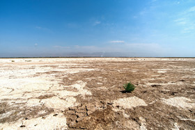 تالاب ''صالحیه'' در روستای صالحیه نظرآباد استان البرز