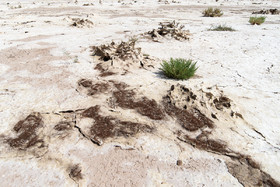 تالاب ''صالحیه'' در روستای صالحیه نظرآباد استان البرز