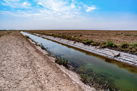 تالاب ''صالحیه'' در روستای صالحیه نظرآباد استان البرز