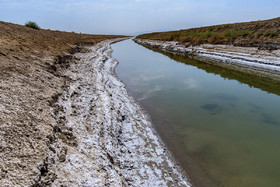 تالاب ''صالحیه'' در روستای صالحیه نظرآباد استان البرز