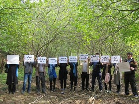 اعتراض تشکل‌های زیست محیطی شرق مازندران به قطع شمشادهای مهربان رود