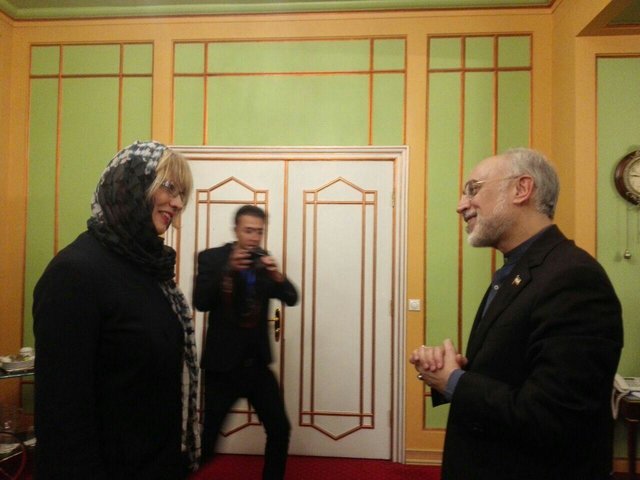 هلگا اشمید با رییس سازمان انرژی اتمی دیدار کرد