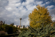 وزش باد شدید در تهران/کاهش نسبی دمای پایتخت در روز یکشنبه