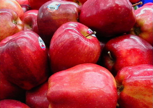 صادرات 50 هزار تن سیب درختی آذربایجان غربی به خارج کشور