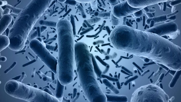 جلوگیری از آموزش مقاومت آنتی‌بیوتیکی در میان باکتری‌ها