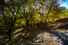 ایران زیباست؛ طبیعت پاییزی قم