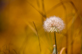 ایران زیباست؛ طبیعت پاییزی قم