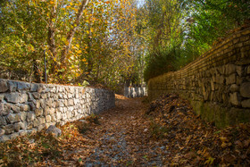 ایران زیباست؛ طبیعت پاییزی قم