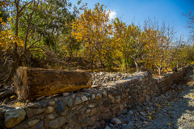 ایران زیباست؛ طبیعت پاییزی قم