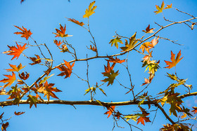 ایران زیباست؛ طبیعت پاییزی قم