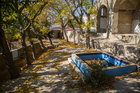 ایران زیباست؛ طبیعت پاییزی قم