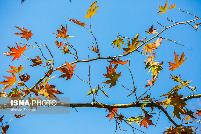 هوا سرد میشود/وزش باد شدید در محورهای ایلام ایران زیباست؛ طبیعت پاییزی قم