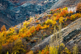 ایران زیباست؛ طبیعت پاییزی مسیر ییلاقی آهار تا شکراب