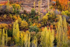 ایران زیباست؛ طبیعت پاییزی مسیر ییلاقی آهار تا شکراب