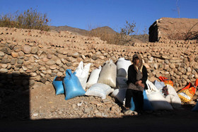 زلزله استان کرمان -  خسارات وارد شده به منازل مسکونی در  روستای گروک شهر راور 