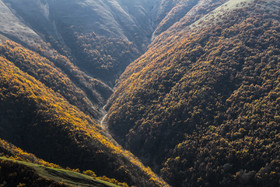 ایران زیباست؛ طبیعت پاییزی جنگل‌های پیرداود (حسنو مئشسی) بخشی از جنگل‌های ارسباران در شهرستان ورزقان استان آذربایجان شرقی