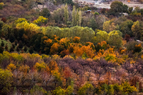 ایران زیباست؛ طبیعت پاییزی باغات روستای بند در ارومیه