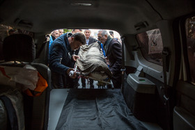 مراسم تشییع پیکر محمد صالحی، پیشکسوت داوری فوتبال ایران