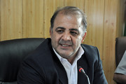 چمن‌گلی مدیرکل امور استان‌های وزارت ورزش شد