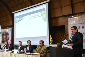 مجمع انتخابی ریاست فدراسیون کشتی