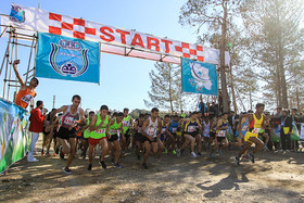 مروری بر چند خبر کوتاه از ورزش قزوین