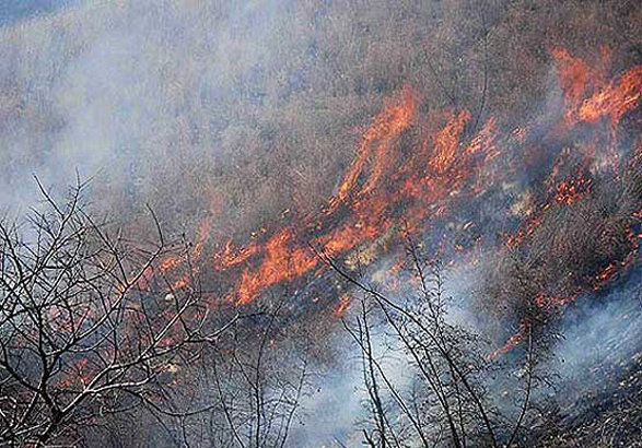 پرداخت 800 میلیون برای مقابله با آتش‌سوزی در جنگل‌ها و مراتع